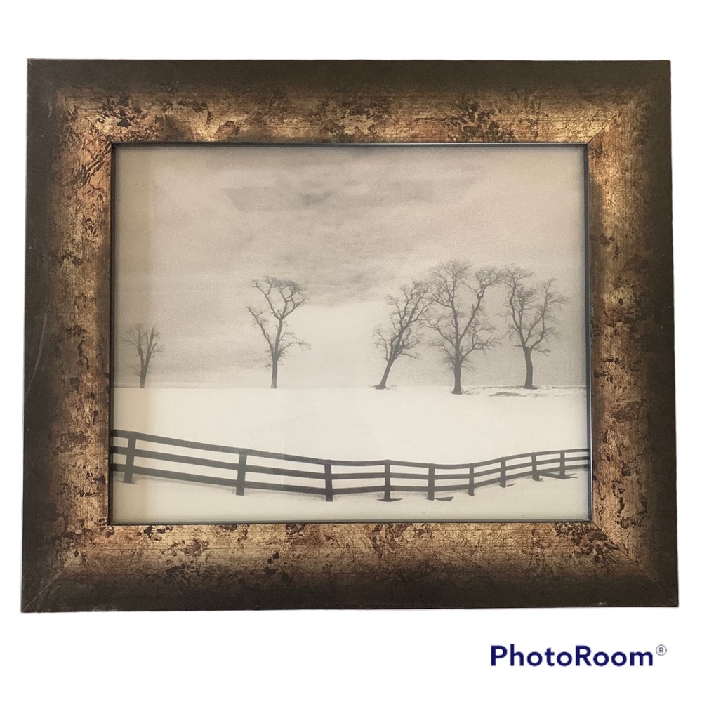 SALE!! Trees in winter framed picture.     2
